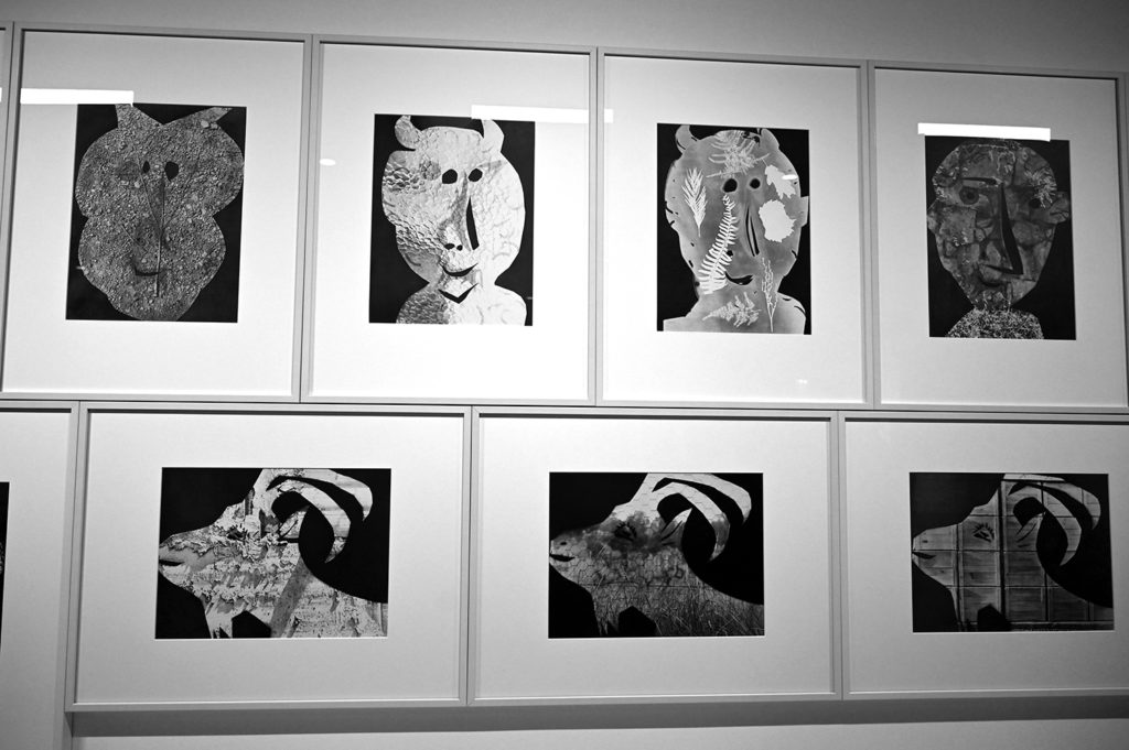 centre photographie mougins