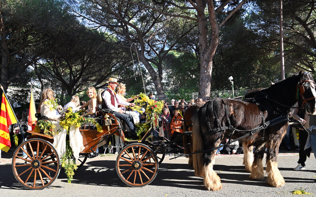 fête mimosa 2026 mandelieu