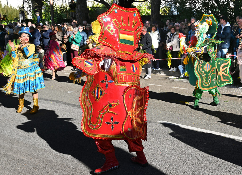 fête mimosa 2026 mandelieu