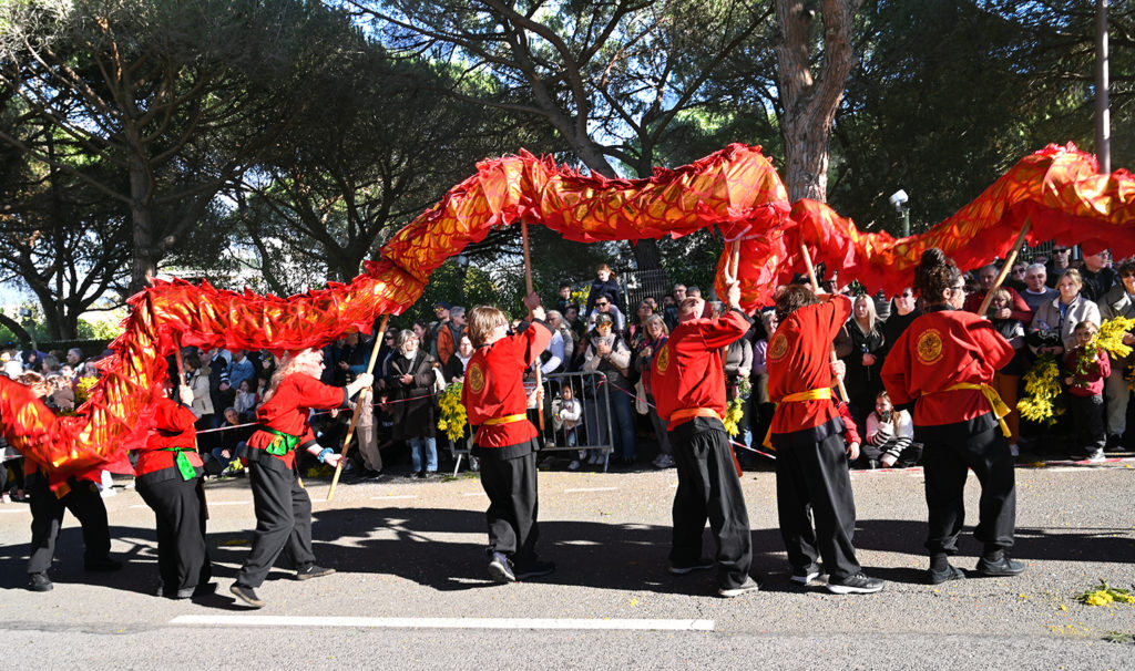 fête mimosa 2026 mandelieu