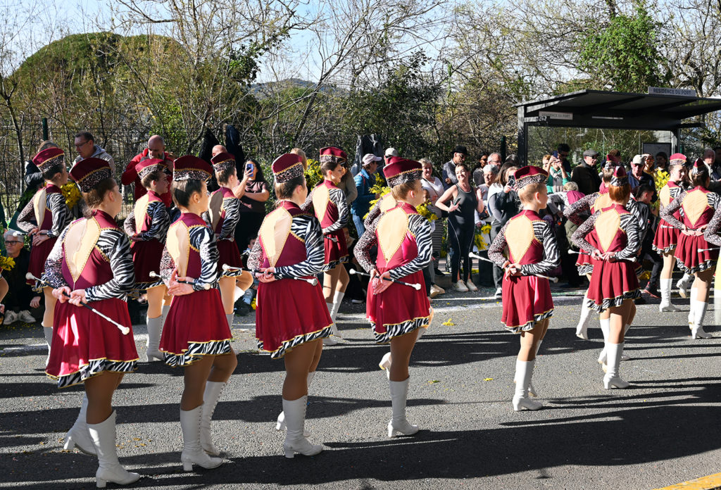 fête mimosa 2026 mandelieu