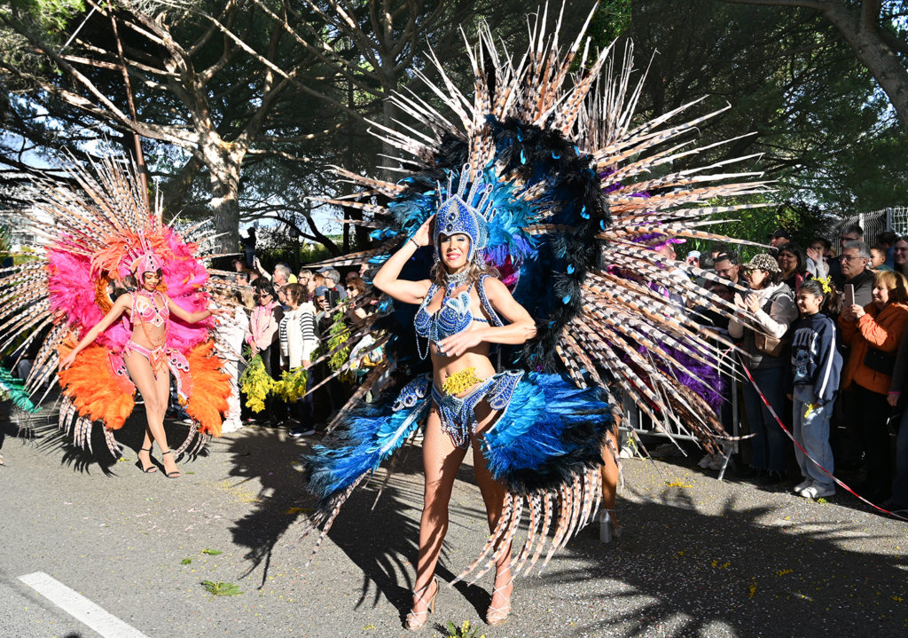 fête mimosa 2026 mandelieu