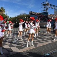 vive reine batailles fleurs nice