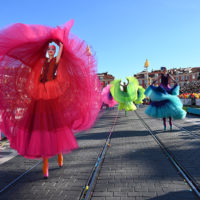 vive reine batailles fleurs nice