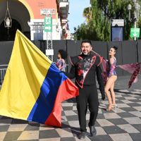 vive reine batailles fleurs nice