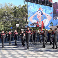 vive reine batailles fleurs nice