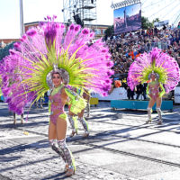 vive reine batailles fleurs nice