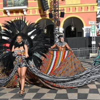 vive reine batailles fleurs nice