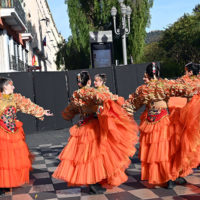 vive reine batailles fleurs nice