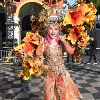 vive reine batailles fleurs nice