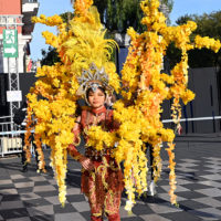 vive reine batailles fleurs nice