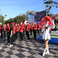 vive reine batailles fleurs nice