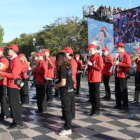 vive reine batailles fleurs nice