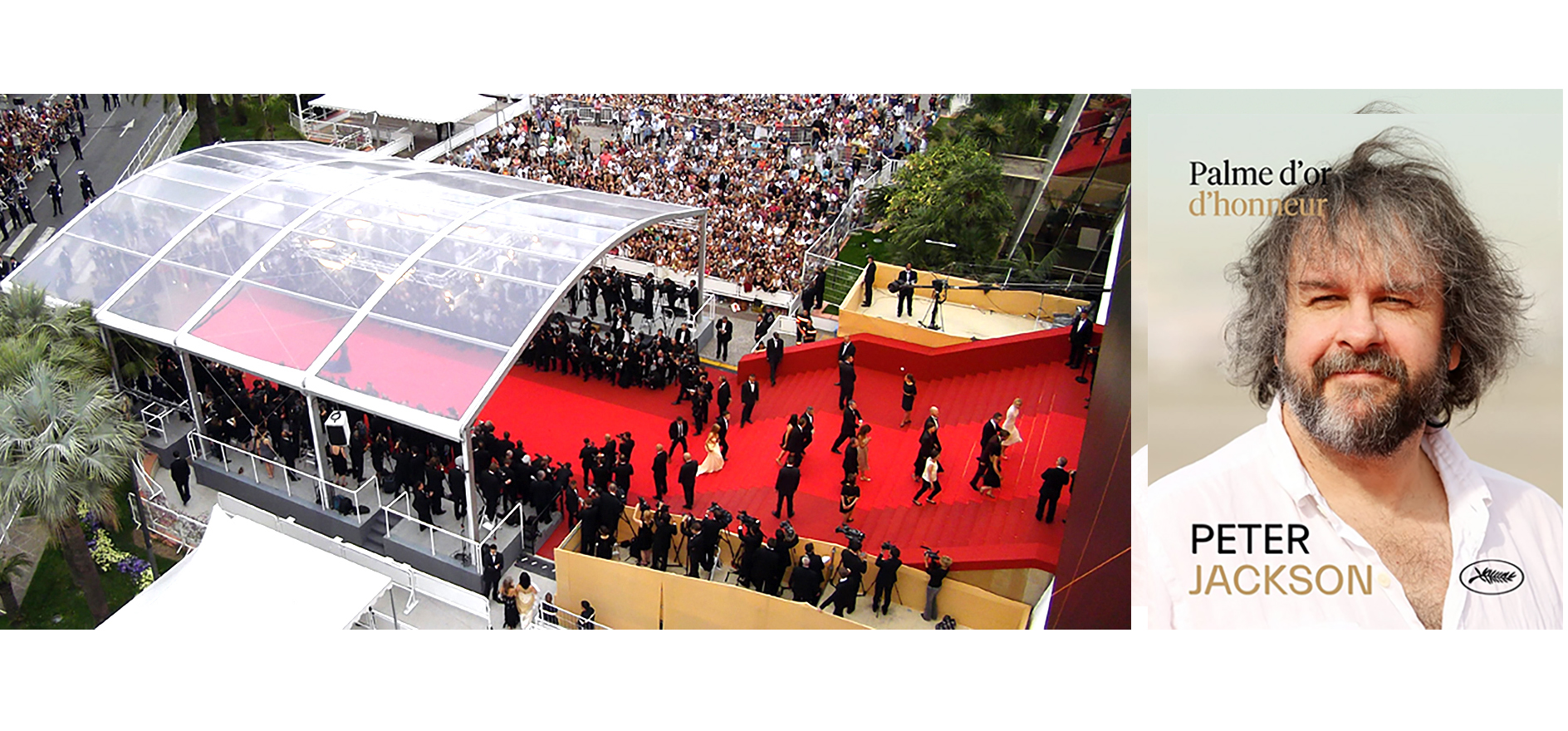 fif palme honneur peter jackson