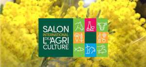 mimosa côte dazur gourmande