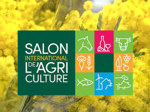 mimosa côte dazur gourmande