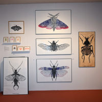 antibes art fair 2026