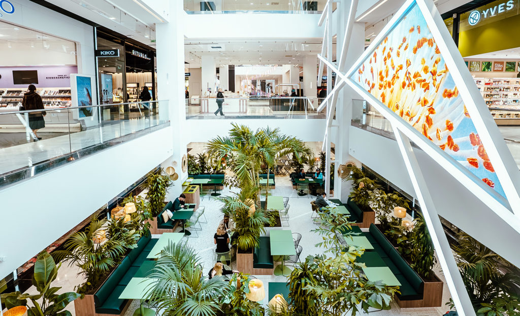 nicetoile nouvelle identité