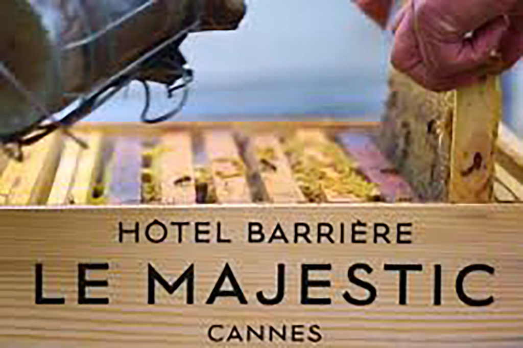 eco one transition verte hôtels azuréens