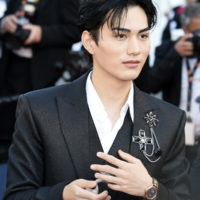 festival de cannes 2026