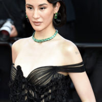 festival cannes 2026 palme or fjord