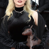 festival cannes 2026 palme or fjord