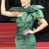 festival cannes 2026 palme or fjord