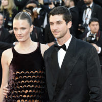 festival cannes 2026 sheep in the box