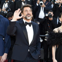 festival cannes 2026 sheep in the box