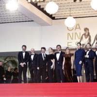 festival cannes 2026 sheep in the box