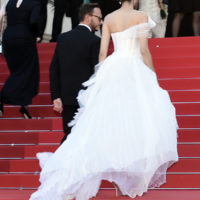 festival cannes 2026 sheep in the box