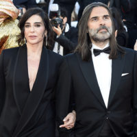 festival cannes 2026 sheep in the box