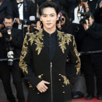 festival cannes 2026 sheep in the box