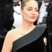 festival cannes 2026 the unknown fjord