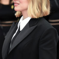 festival cannes 2026 the unknown fjord