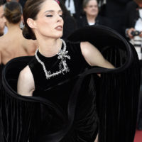 festival cannes 2026 the unknown fjord