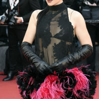 festival cannes 2026 the unknown fjord