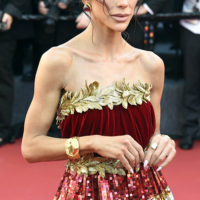 festival de cannes 2026