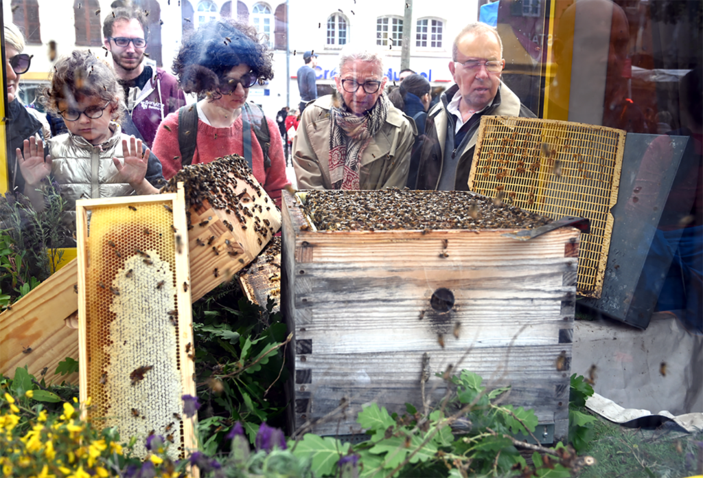 gastronomie ecologie fête miel