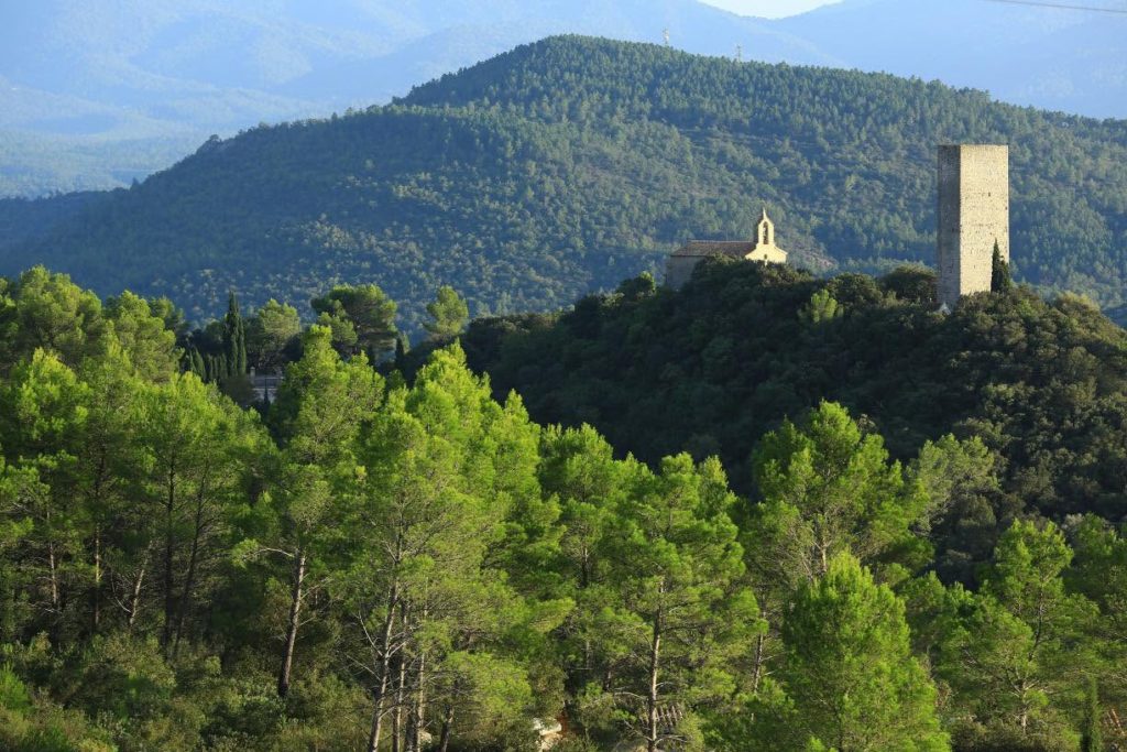 secrest de la dracénie