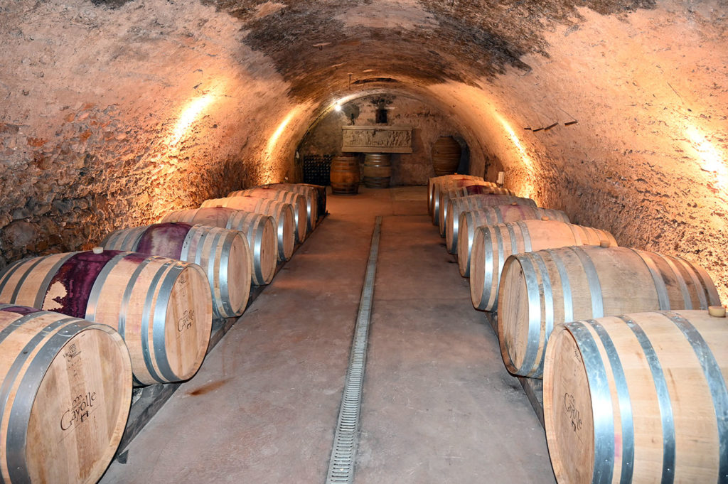 art vin 2026 ode provence