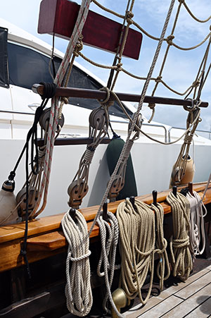 croisière guerrières 2026