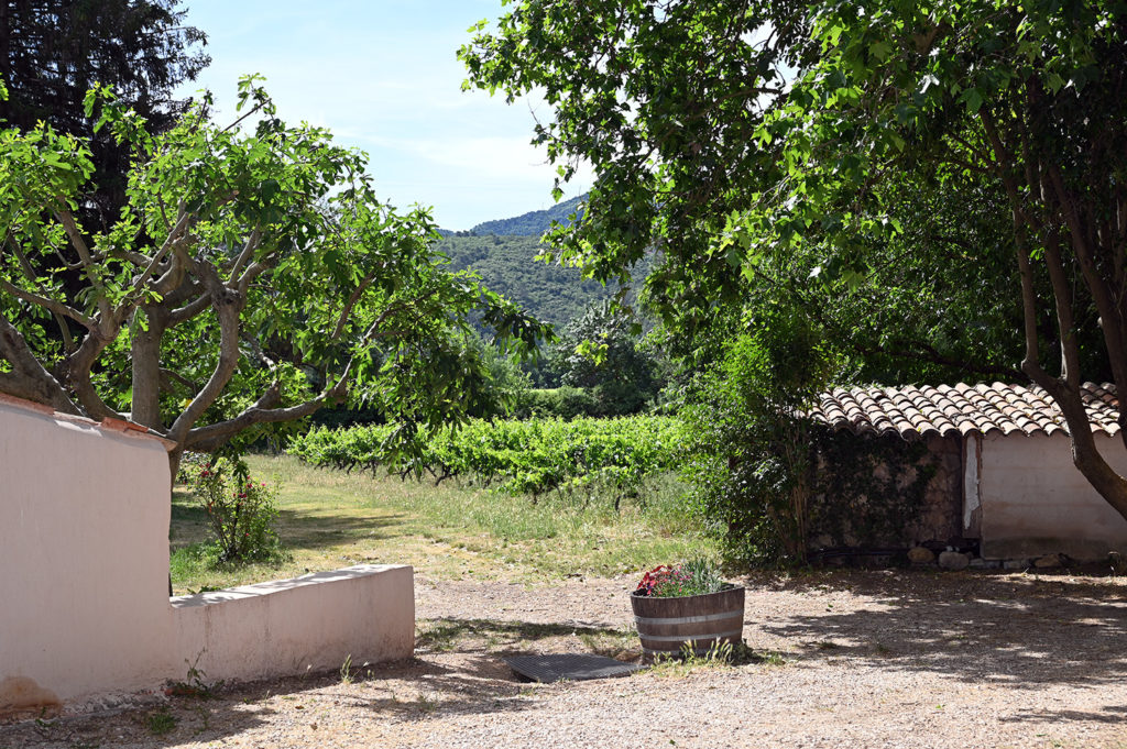 destinations vins provence oenotourisme