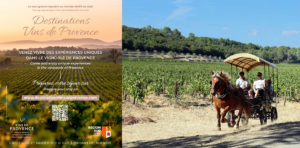 destinations vins provence oenotourisme