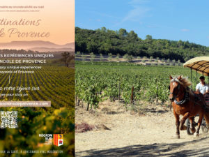 destinations vins provence oenotourisme