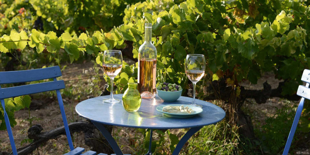 destinations vins provence oenotourisme