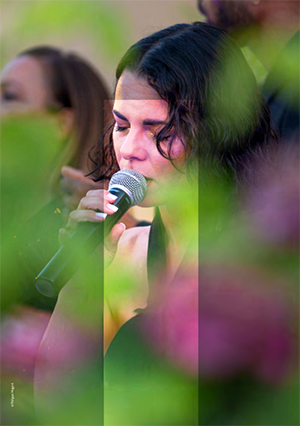 musicales dans les vignes 2026