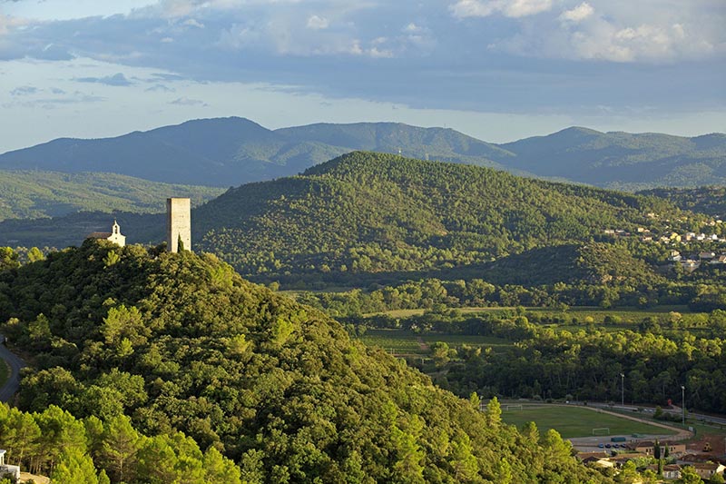 secrets de la dracénie