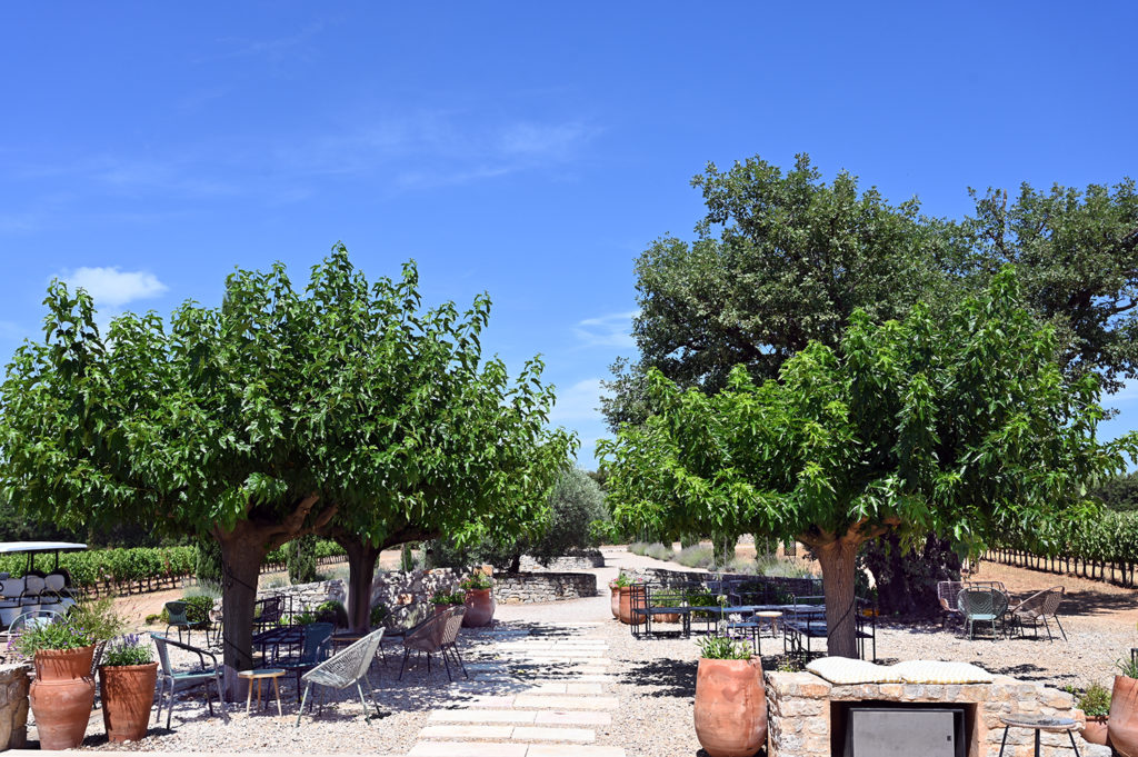 la vigna aurélien gabillault