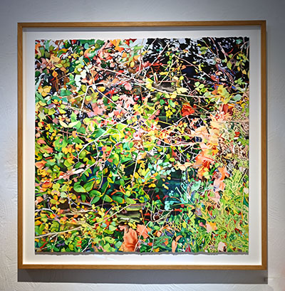 radart saint paul de vence